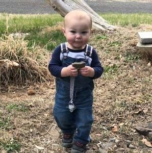 Meet your Posher, Ginger